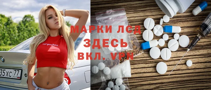 магазин продажи наркотиков  Курчалой  ЛСД экстази ecstasy 