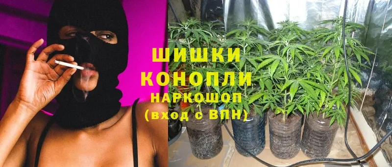 OMG   как найти закладки  Курчалой  МАРИХУАНА конопля 